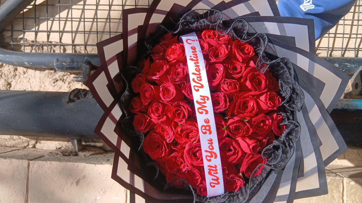 THE VALENTINE PROMISE 