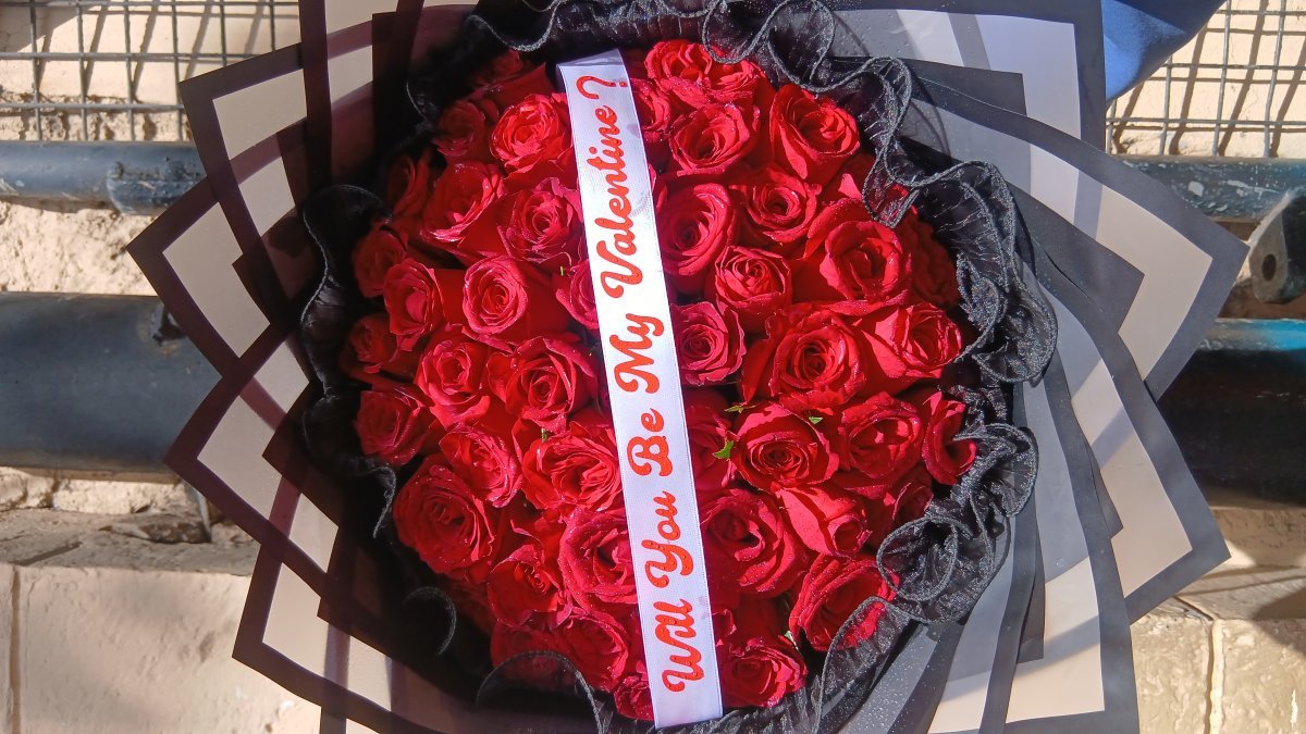 THE VALENTINE PROMISE  photo 2