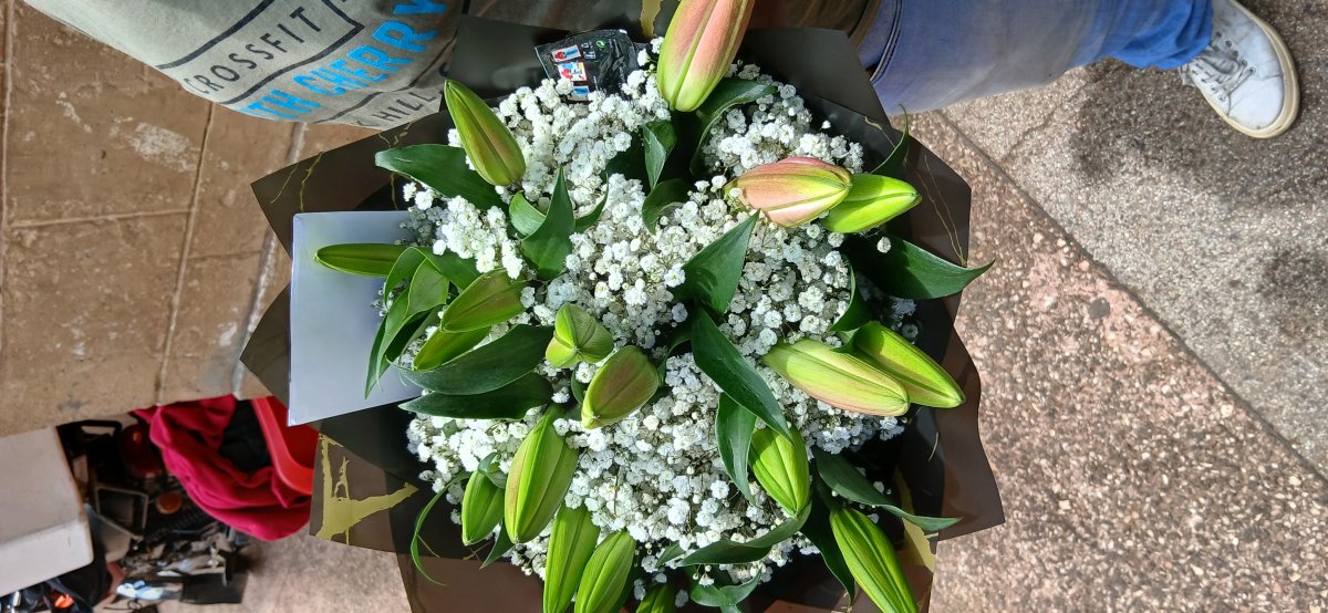 Heavenly Blooms ❤️🦋