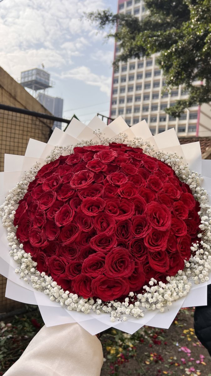Crimson Royale ❤️🌹💯❤️❤️