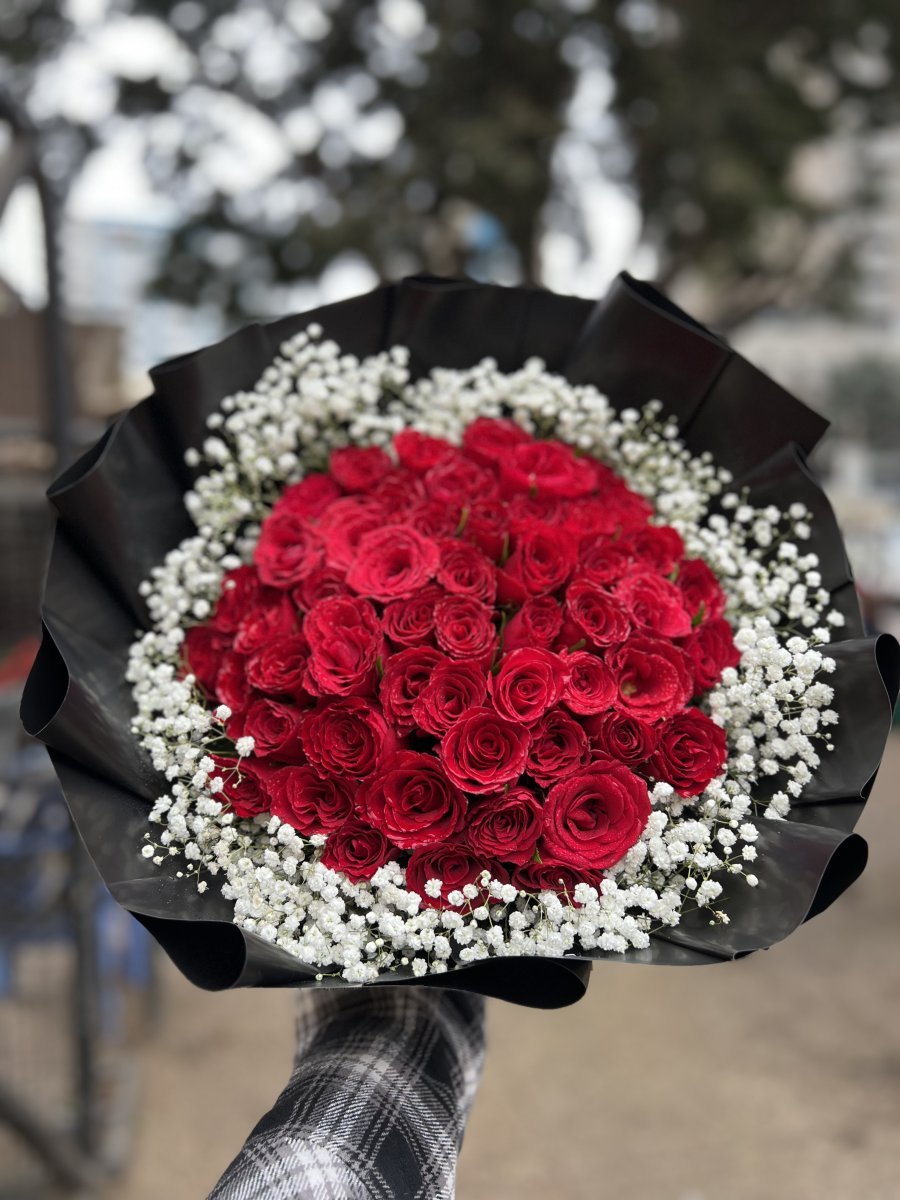  🥰   Scarlet Romance🌹🌹